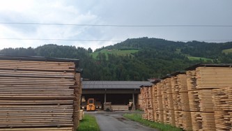 DSC_0504.JPG